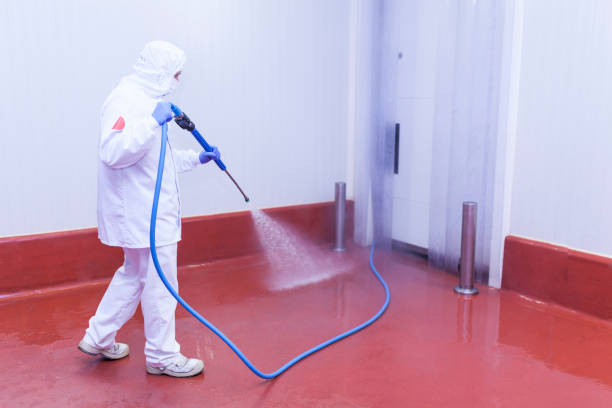 Best House Exterior Washing  in Spring Valley, NY