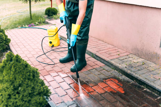 Best Roof Washing  in Spring Valley, NY