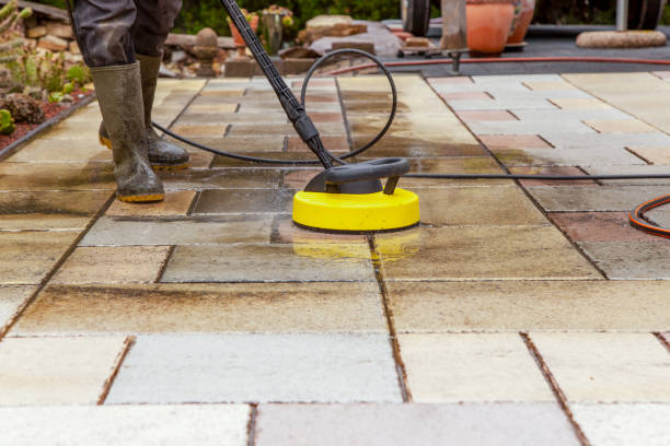 Best Animal Enclosure Cleaning  in Spring Valley, NY